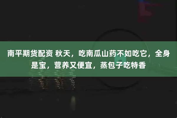 南平期货配资 秋天，吃南瓜山药不如吃它，全身是宝，营养又便宜，蒸包子吃特香