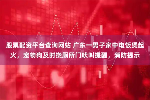 股票配资平台查询网站 广东一男子家中电饭煲起火，宠物狗及时挠厕所门吠叫提醒，消防提示