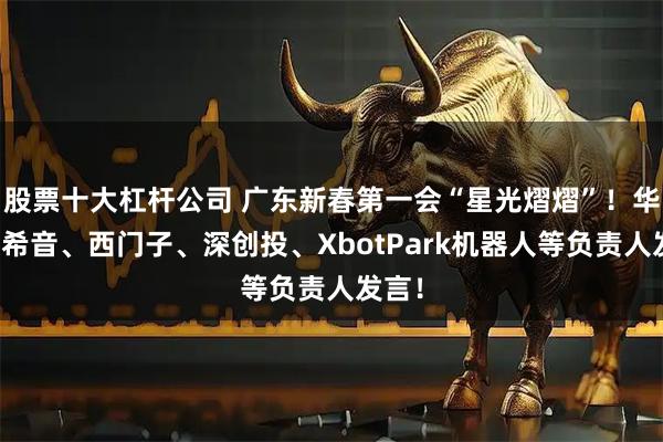 股票十大杠杆公司 广东新春第一会“星光熠熠”！华为、希音、西门子、深创投、XbotPark机器人等负责人发言！