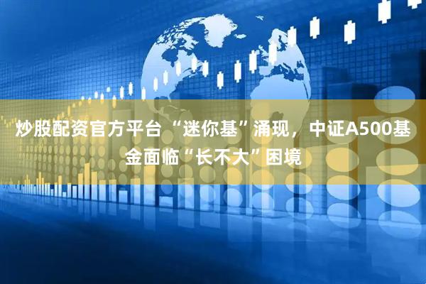 炒股配资官方平台 “迷你基”涌现，中证A500基金面临“长不大”困境