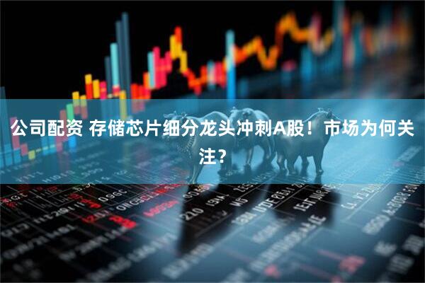 公司配资 存储芯片细分龙头冲刺A股！市场为何关注？